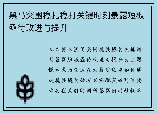 黑马突围稳扎稳打关键时刻暴露短板亟待改进与提升