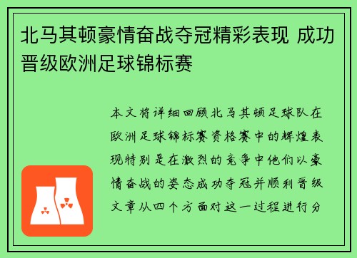 北马其顿豪情奋战夺冠精彩表现 成功晋级欧洲足球锦标赛